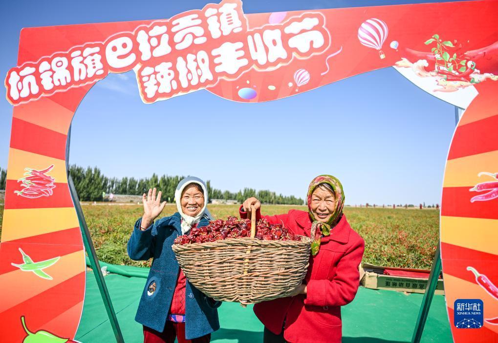 澳门十三弟网址是多少